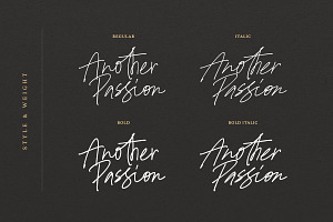 Another Passion - Handwritten Font