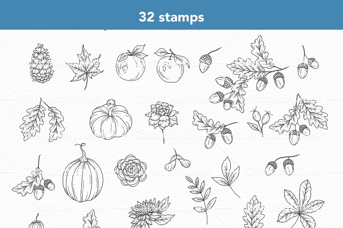 Fall Foliage Procreate Stamps, a Brush Add-On by CaraulanStore (Photo 3 of 5)
