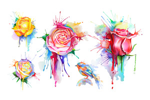 Watercolor Roses. Little Bird Vector