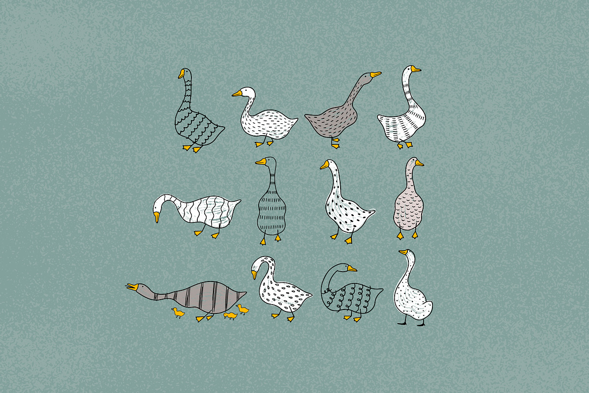 Funny geese, an Object Graphic by Alona Savchuk (Photo 2 of 7)