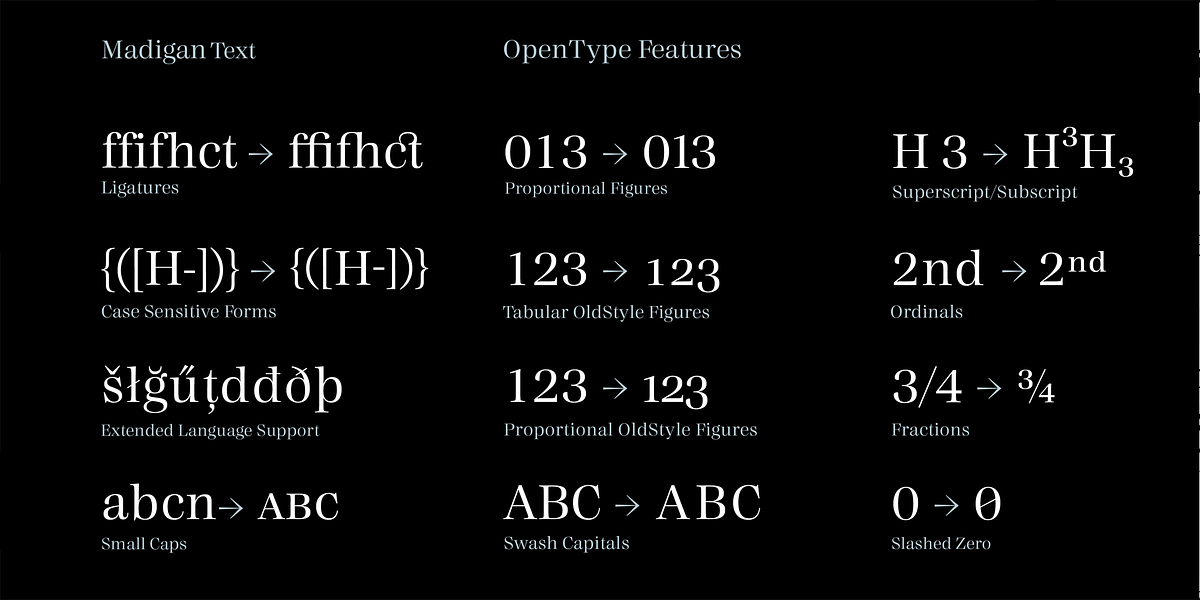 Madigan Text, a Serif Font by Hoftype (Photo 11 of 11)