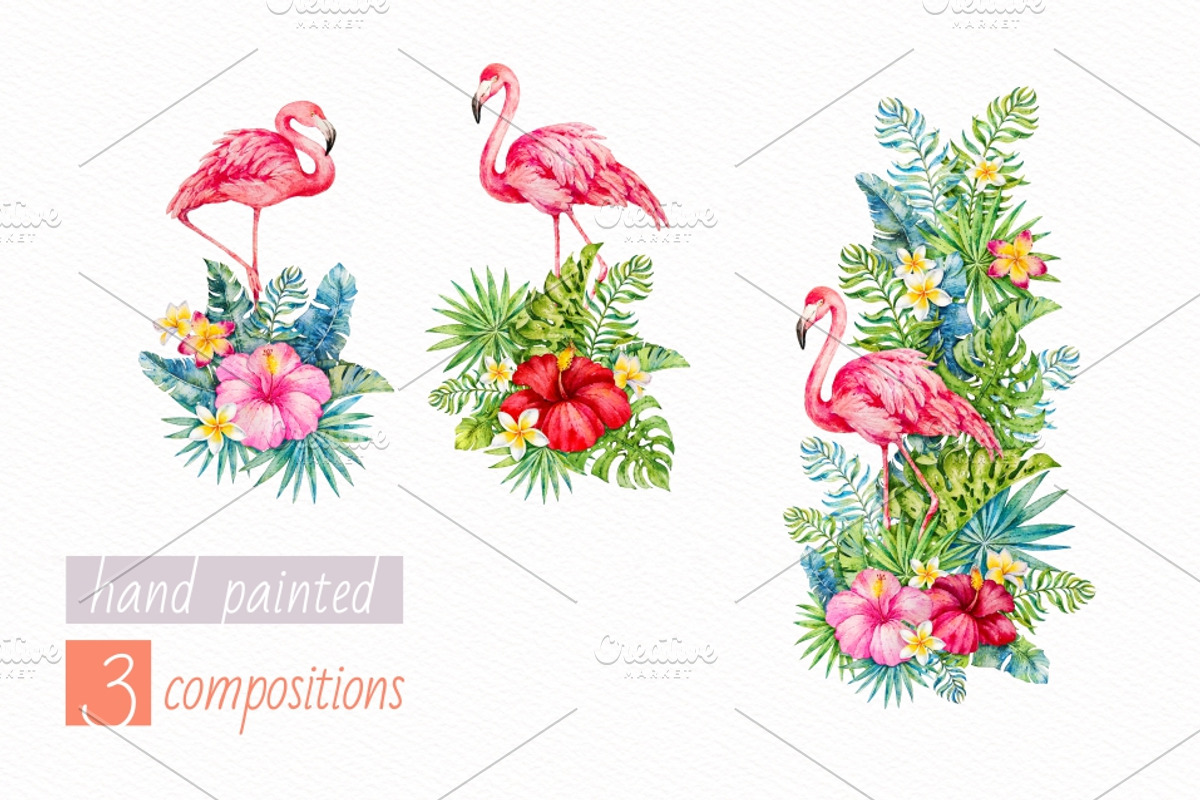 Tropics.Watercolor collection, an Animal Illustration by Ekaterina Mikheeva (Photo 6 of 7)
