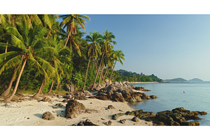 Palm trees leaning over a rocky, a Nature Photo by Goinyk