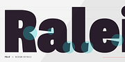 Palo, a Sans Serif Font by TypeUnion (Thumbnail 5 of 17)