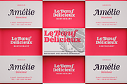 DT Augustina Slab 5 Subfamily, a Slab Serif Font by Deveze Type Foundry (Thumbnail 26 of 31)