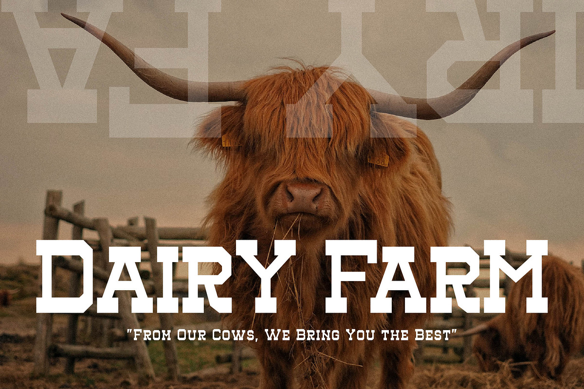 Henk Singer Slab Serif Font, a Slab Serif Font by Storytype Studio (Photo 8 of 15)