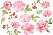 Wild Roses Watercolor Set, a Decorative Illustration by Irina Diasli (Thumbnail 4 of 9)