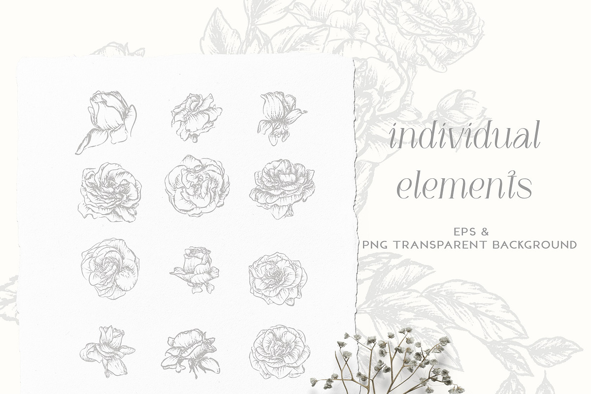Vintage Roses - Line art Florals, a Decorative Illustration by BlumenSoul (Photo 7 of 8)