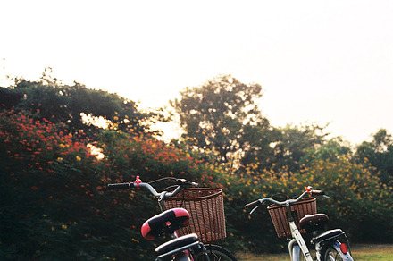 Vintage Bicycle Containing Bicycle Transportation And Bike preview 6