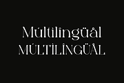 Bonuko - Modern Ligature Serif Font, a Serif Font by Iqsiart Studio (Thumbnail 10 of 16)