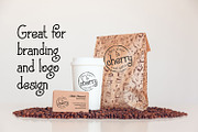 Agrifan, a Serif Font by Digital Typeface Studio (Thumbnail 4 of 5)