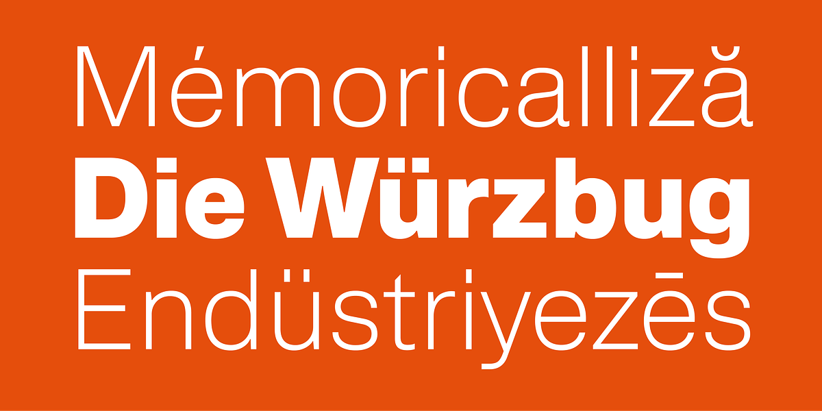 Afical, a Sans Serif Font by Formatype Foundry (Photo 9 of 13)