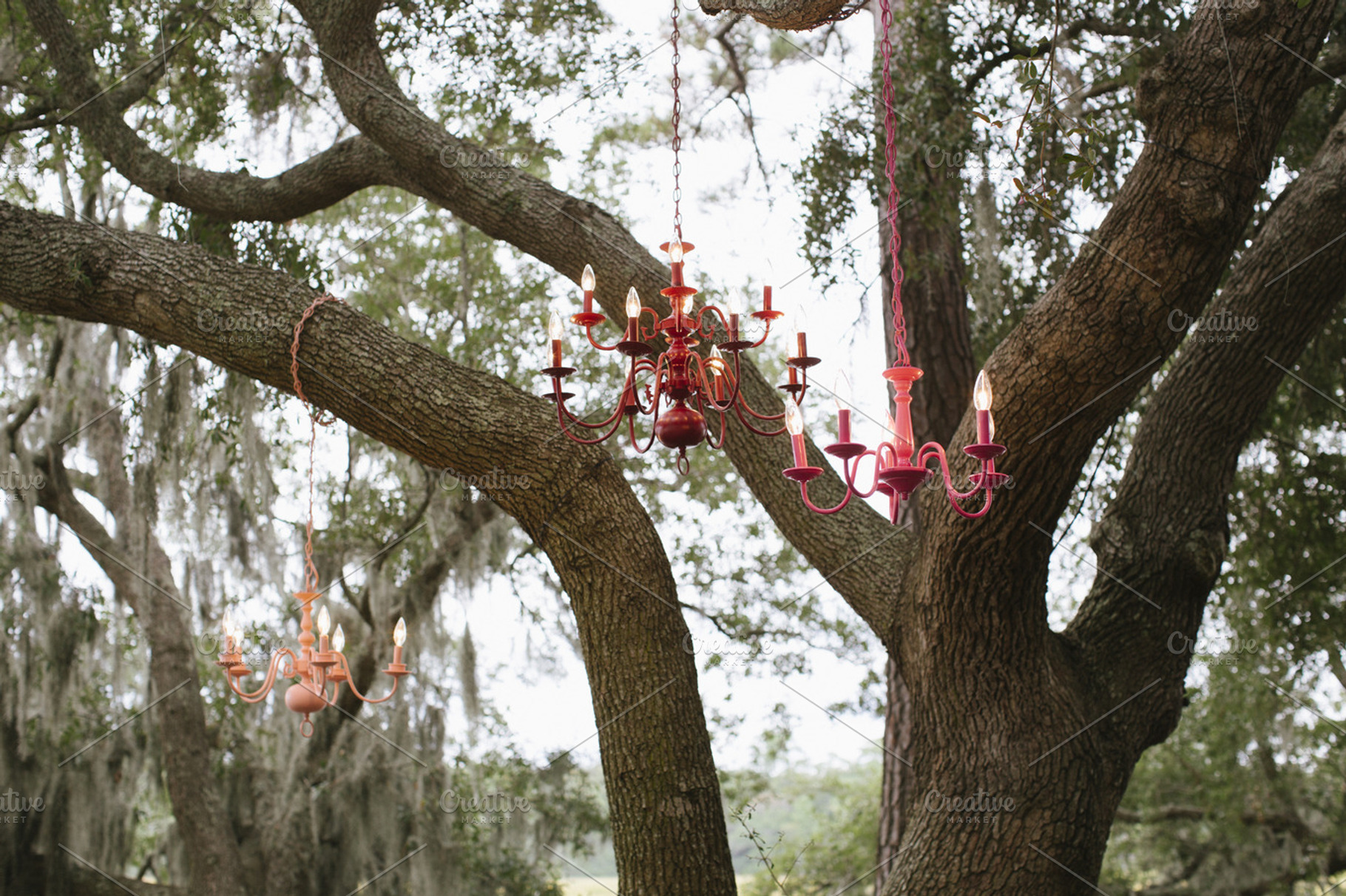 Chandeliers In Trees