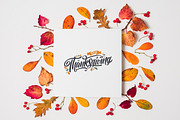 Happy Thanksgiving Logotype, a Poster Template by Anna's Lettering (Thumbnail 4 of 4)