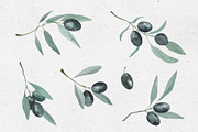 Watercolor Olives, an Illustration by Maria's little shop (Thumbnail 4 of 7)