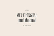 Alison Maskell Modern Serif, a Serif Font by Cruzine (Thumbnail 8 of 8)