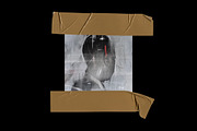 Tape Adhesive Mockup, a Product Mockup by Bolderaja1 Studio (Thumbnail 8 of 9)