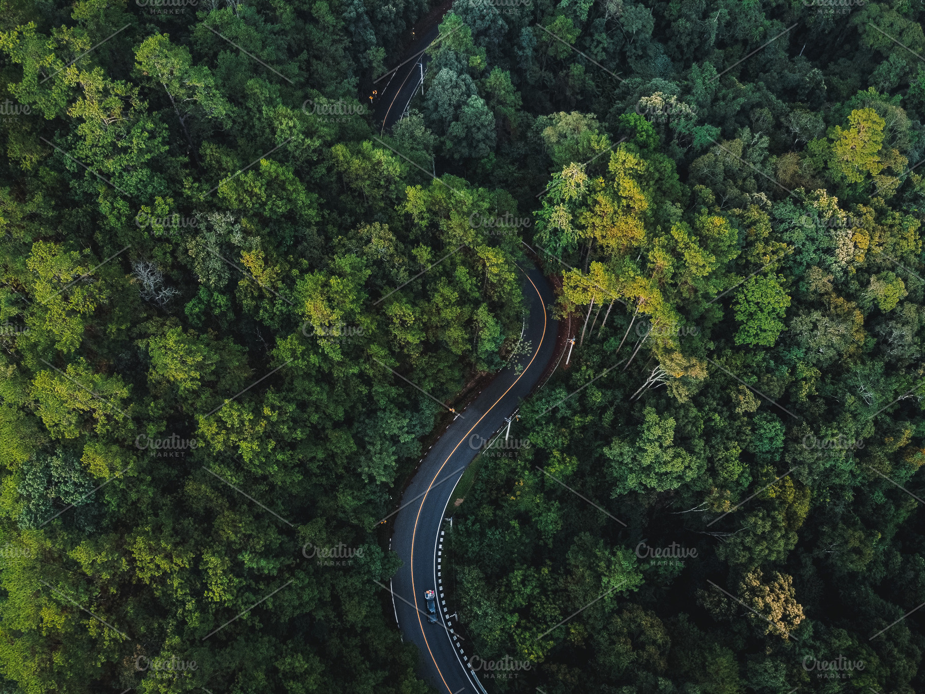 Mountain road in green forest rainy season, a Nature Photo by Art Rachen