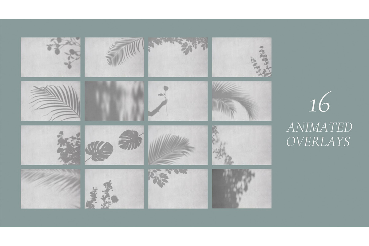 Animated Shadow Overlay Scene Mockup, a Product Mockup by Oui Create Studio (Photo 7 of 17)