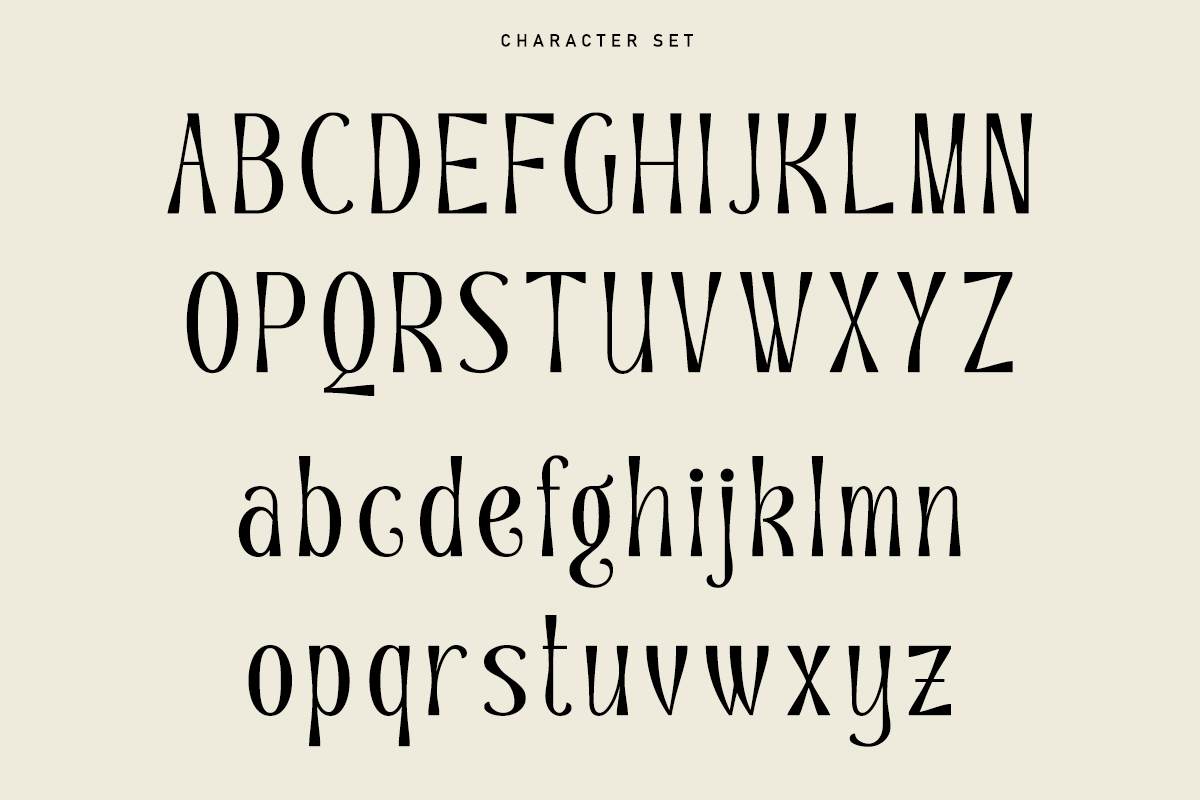 Channery - Modern Ligatures Font, a Serif Font by Say Studio (Photo 12 of 13)