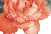 Rome | A Stunning Sans Serif, a Sans Serif Font by Jen Wagner Co (Thumbnail 2 of 8)