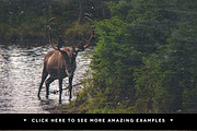 Vintage Overlays Pack (25% OFF!), a Texture Graphic by Gromov Design (Thumbnail 5 of 5)