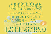 Blush Honey Modern Serif Font, a Serif Font by timelesstype.co (Thumbnail 18 of 20)