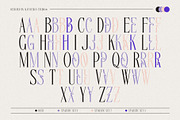 Cherola Typeface, a Serif Font by alit design (Thumbnail 7 of 15)