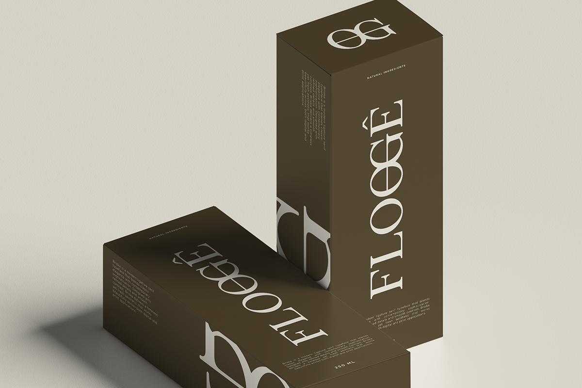 Briska - Modern Ligature Serif, a Serif Font by RagamKata (Photo 7 of 10)
