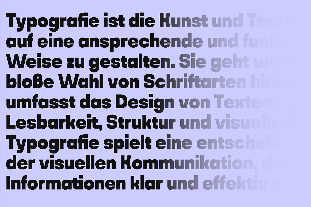 Noda, a Sans Serif Font by NumidiaType (Photo 5 of 8)