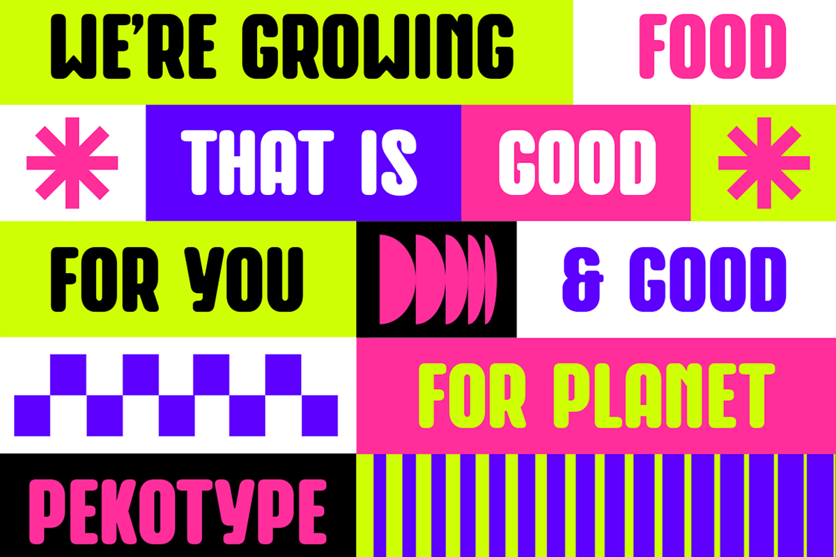 Baune - Condensed Rounded Sans, a Sans Serif Font by Pekotype (Photo 12 of 15)