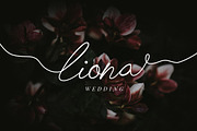 Chick Budapest Signature Font, a Handwritten Font by UICreative (Thumbnail 2 of 5)