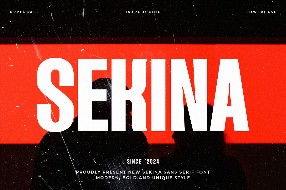 SEKINA - Modern Condensed Sans Serif, a Sans Serif Font by TypeLogue (Photo 1 of 5)