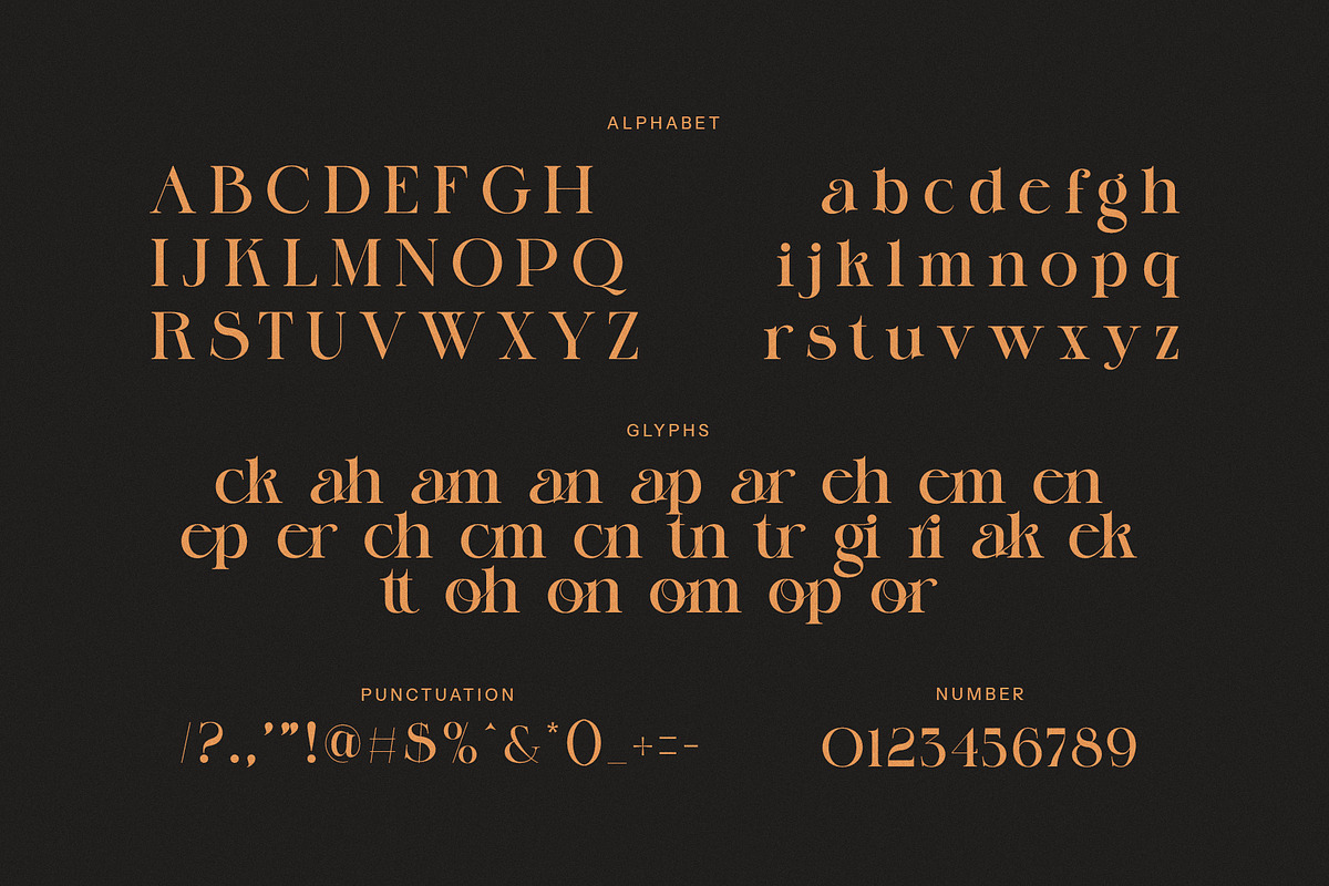 Galgin Elegant Serif Font, a Serif Font by Perfectype (Photo 8 of 8)
