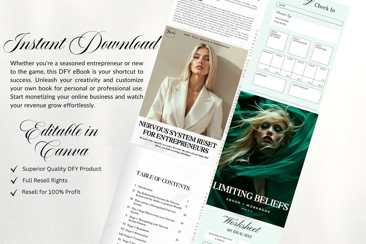Coaching Bundle EBooks mrr plr, a Brochure Template by CopertiniStudio (Photo 2 of 10)