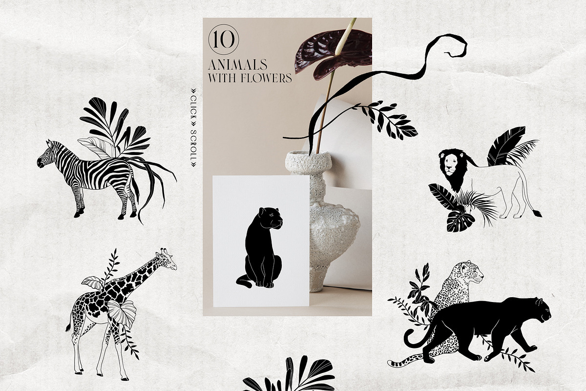 EXOTIC Graphics and animated stories, an Animal Illustration by Anastezia Luneva (Photo 7 of 11)