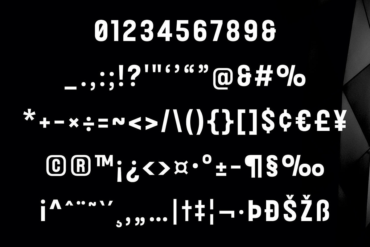 Rockgym - Condensed Font, a Sans Serif Font by Umitype (Photo 5 of 10)