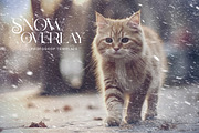 Snow Photo Effect, a Layer Style Add-On by Andrew Skoch Design (Thumbnail 4 of 6)