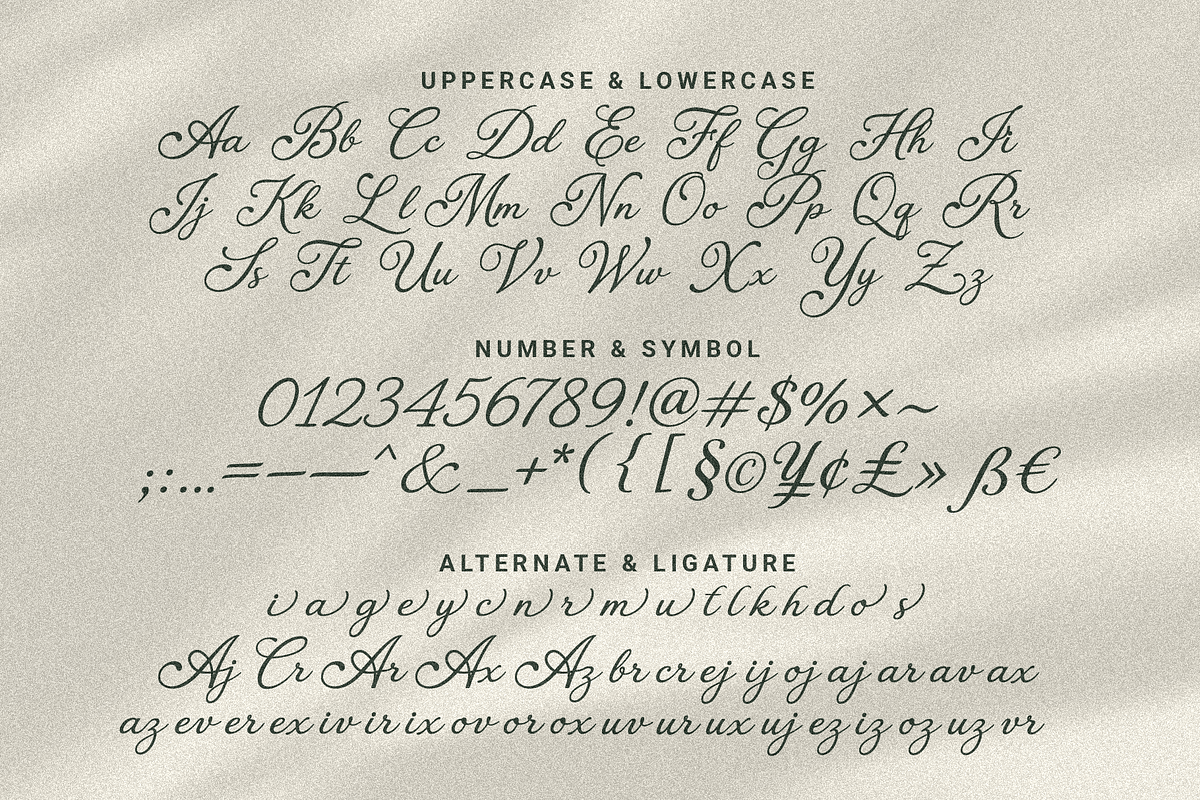 Seville Milano - Timeless Editorial, a Script Font by Tyasify (Photo 9 of 10)