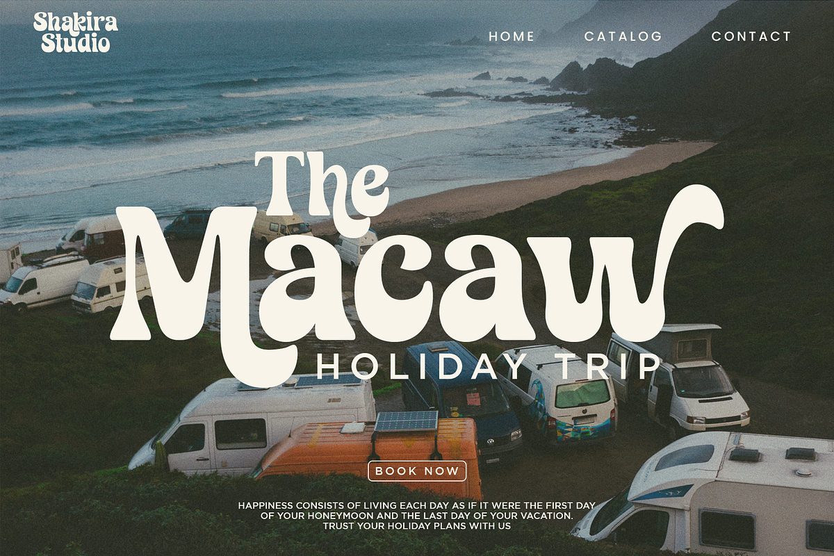 Retro Monkey - Modern Retro Serif, a Serif Font by Shakira Studio (Photo 5 of 12)