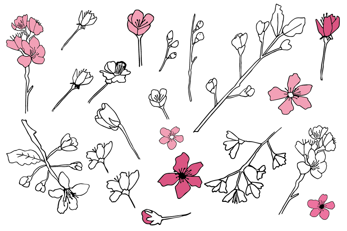 Spring blossoms doodles, a Decorative Illustration by Emjwalker (Photo 2 of 3)