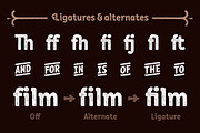 Barbariska Rough2 pack, a Font by Russian Fonts (Thumbnail 7 of 9)