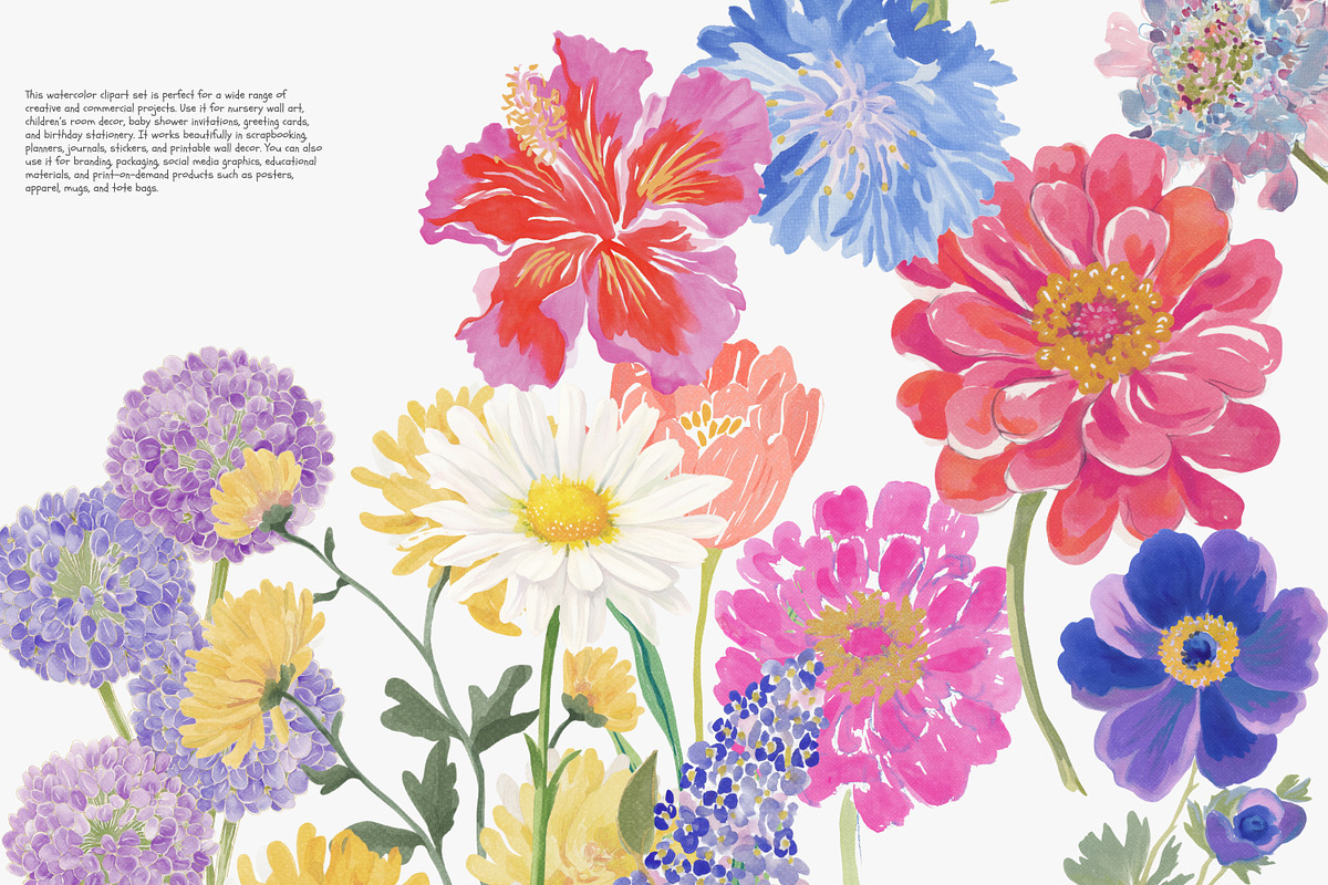 watercolor floral clipart bundle, a Decorative Illustration by Patishop Art (Photo 4 of 9)