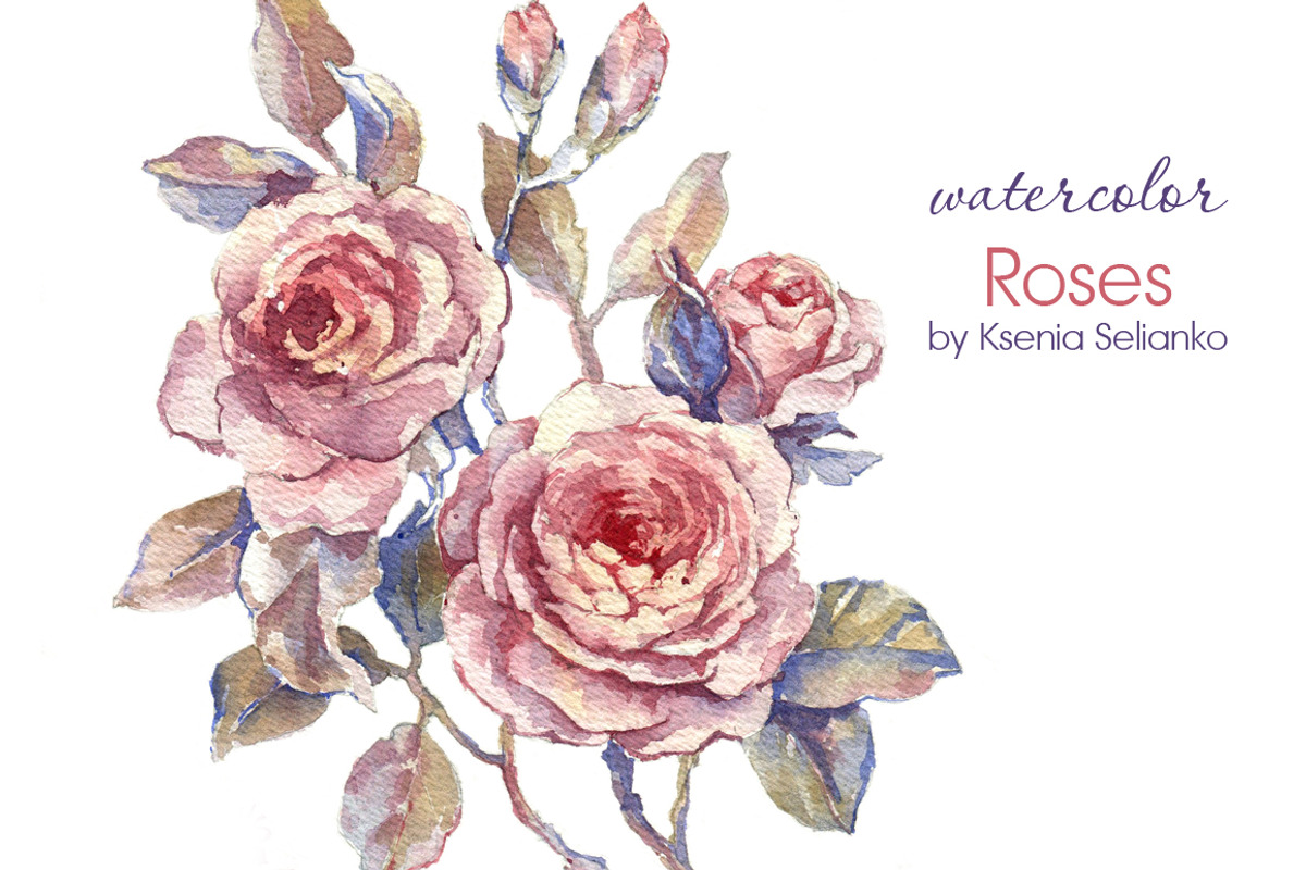 Watercolor Roses, an Illustration by Ksenia Selianko (Photo 2 of 2)