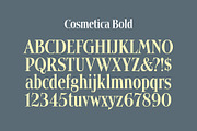 Cosmetica Font, a Serif Font by Mysterylab Designs (Thumbnail 3 of 14)