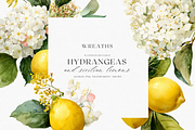 Watercolor Lemons & Hydrangeas, a Decorative Illustration by ThaismotaCreativeCo (Thumbnail 6 of 12)