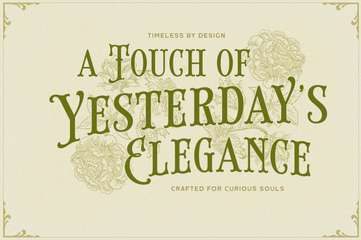 Brindley Houston Display Serif, a Serif Font by Letterhend Studio (Photo 2 of 11)