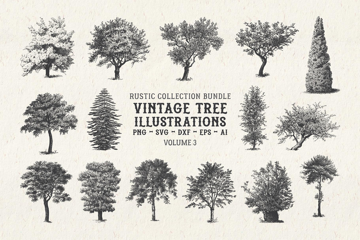 Vintage Tree Vector Bundle Vol. 3, an Object Illustration by Seaquint (Photo 1 of 5)