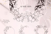 MOTHS & BUTTERFLIES illustration set, an Animal Illustration by Yuliia Lashevska (Thumbnail 9 of 13)