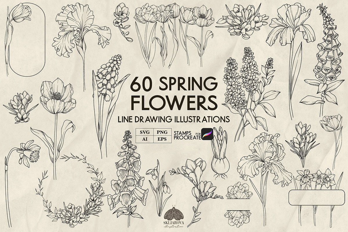 Spring flowers line art + Procreate, a Decorative Illustration by Skliarova (Photo 1 of 4)